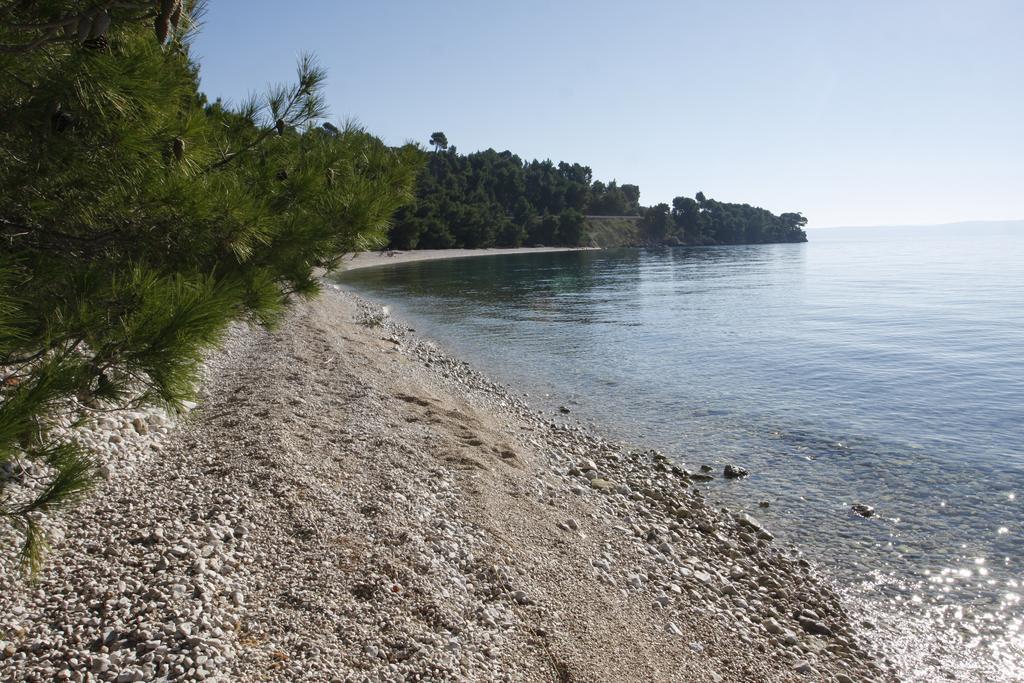 Apartments Delfin Tučepi Buitenkant foto
